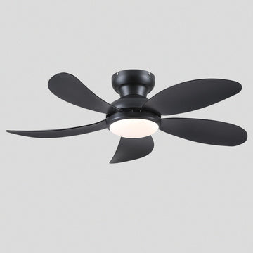 Graceshire contemporary ceiling fan