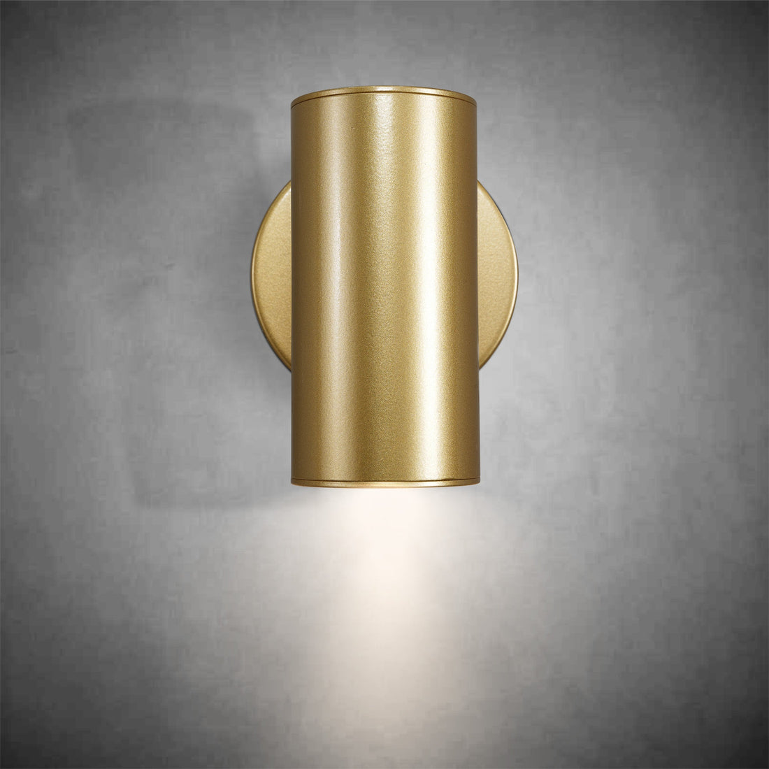 Gold Brass Picture Light Sconce with Adjustable LED