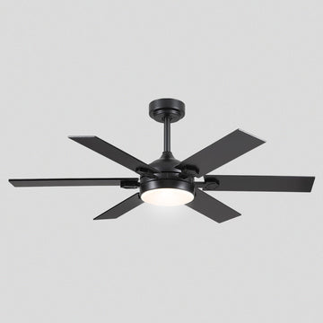 Clifan Ceiling Fans with Lights