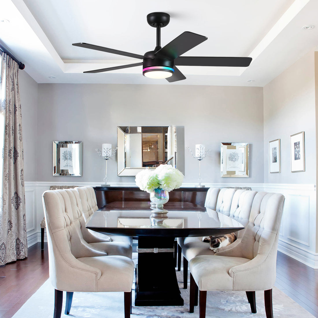 RGB Modern Black Ceiling Fan Light