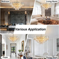 Opulent 31.5
