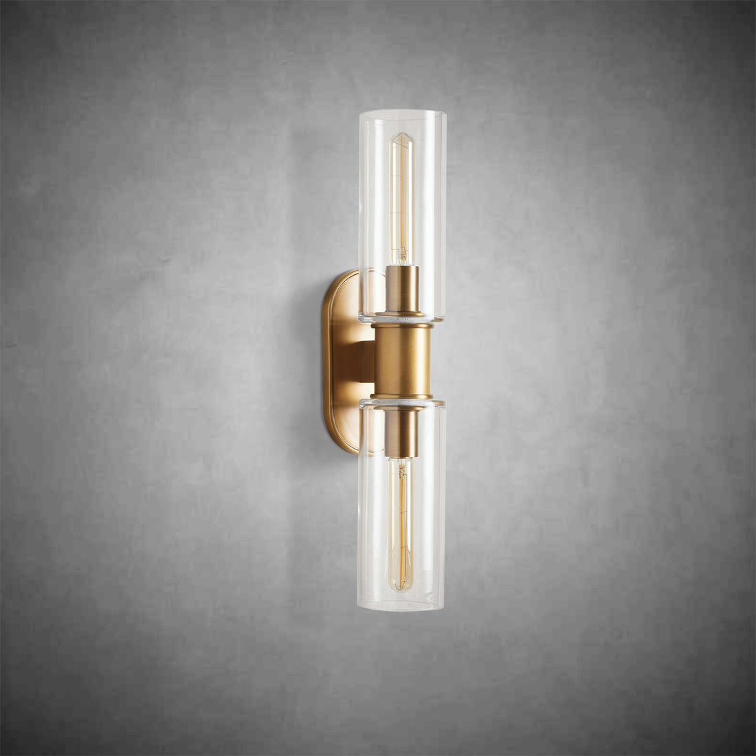 Harlin 2-Light Wall Sconce in Clear
