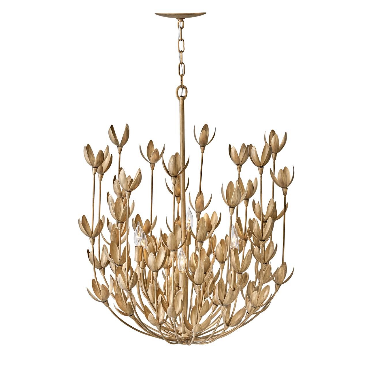 Hinkley Lighting Flora 26 Inch 6-Light Chandelier, Burnished Gold