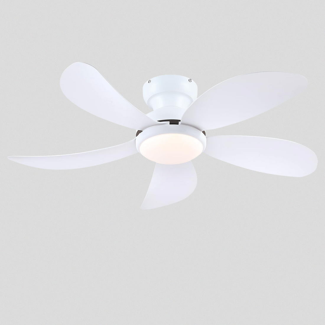Graceshire contemporary ceiling fan