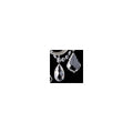 https://cdn.shopify.com/s/files/1/0778/2046/1351/files/hx-s_lascala_5003-48s_crystal_300px_993f0df6-3e5a-416a-aebe-b740c323ec66.jpg?v=1765441898