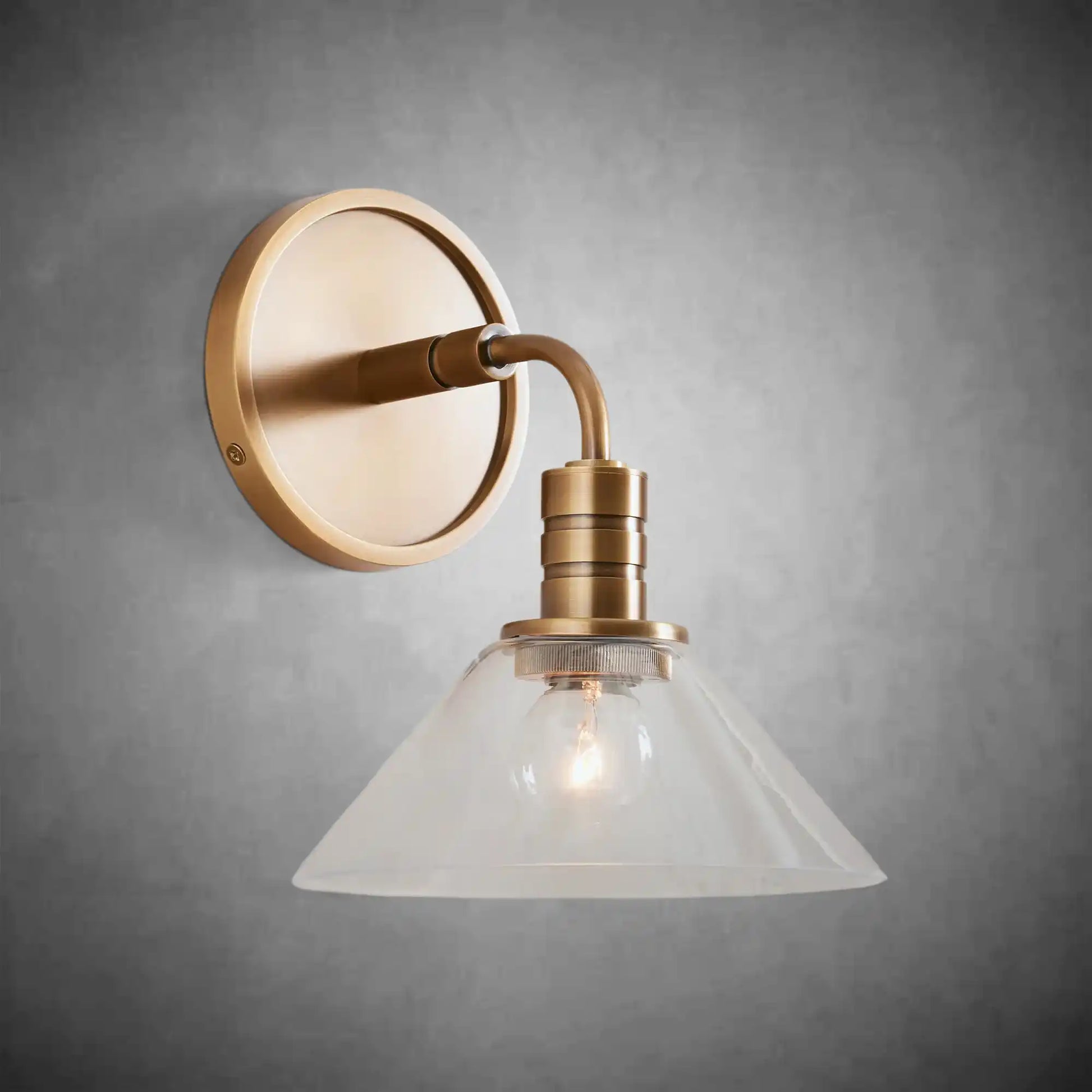 Theron Single Wall Sconce Modern Wall Light